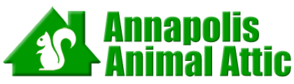 Annapolis Animal Attic